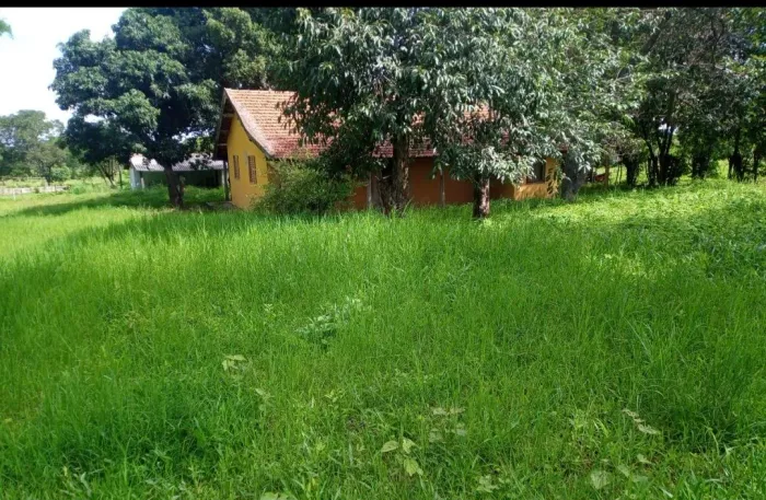Fazenda a Beira do rio São Francisco. 280 equitares de terra.
