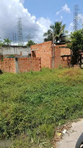 Terreno
