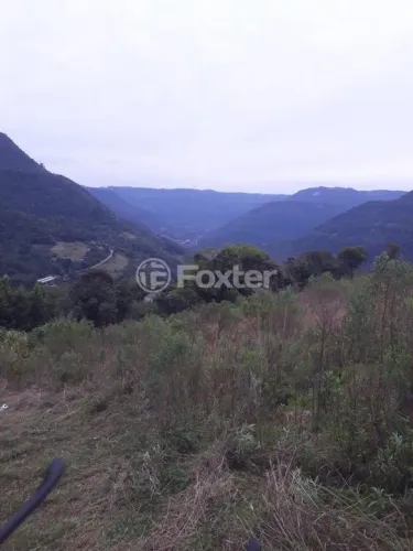 Fazenda / Sítio / Chácara à venda Rua da Pedreira, Centro - Nova Petrópolis