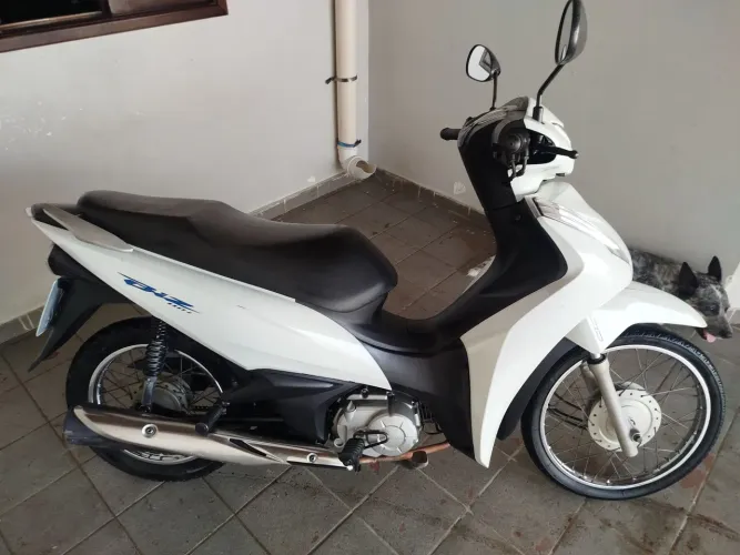 Bis 110 
