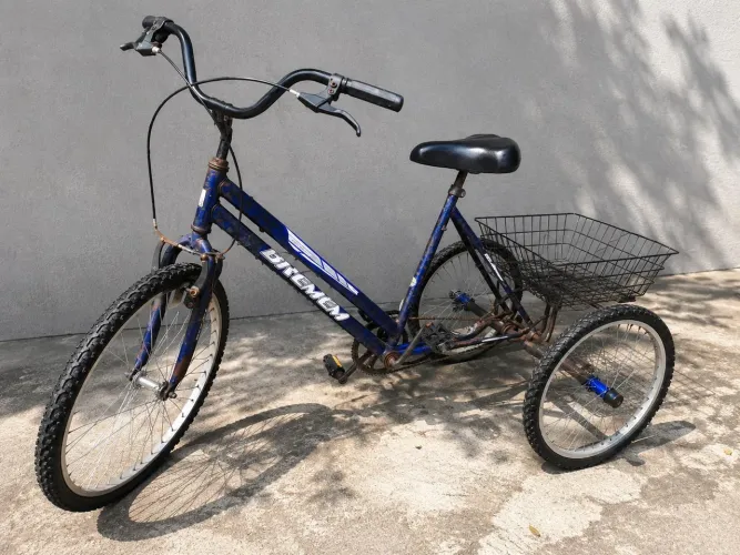 Triciclo Adulto 3 Rodas com Cesto - Funcionando Perfeitamente.