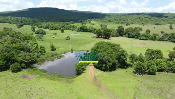 FAZENDA EM MONTES CLAROS GOIÁS 89 ALQUEIRES