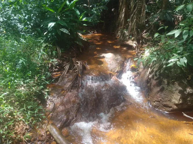 Chácara marechal floriano alto santa Maria Araguaia