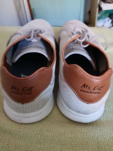 Mr cat