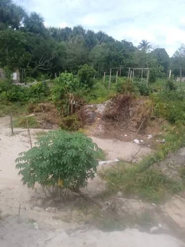 Vendo lotes de terreno