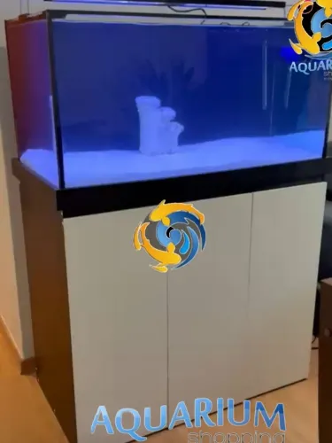 Aquário 250L e móvel - Seminovos