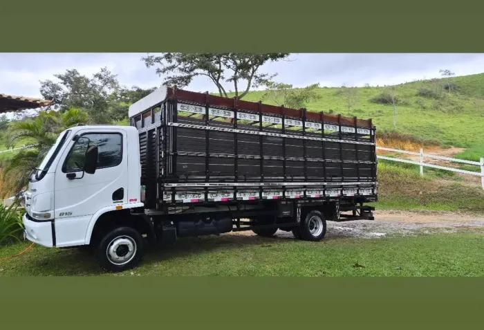 Vendo acelo