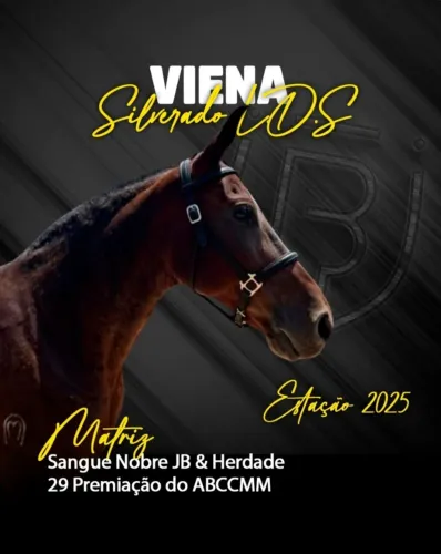 Égua Matriz vencedora de Pista