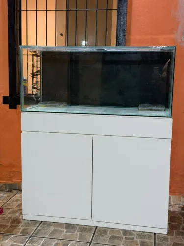 aquario