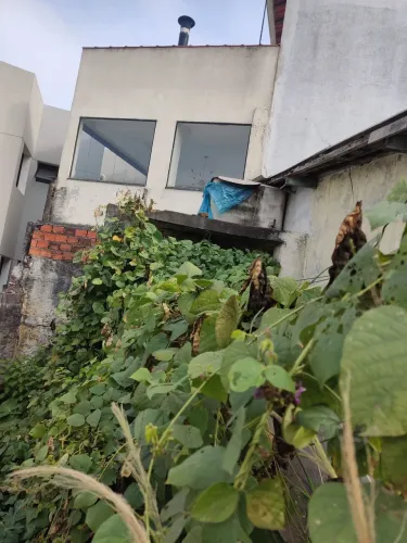 Limpeza geral