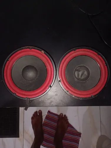 Médio de 8 polegadas