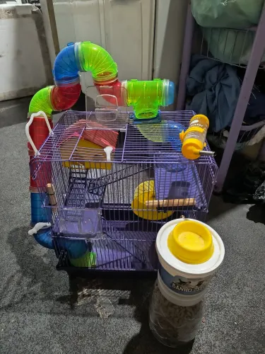 Casa de hamsters
