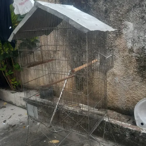 Viveiro grande para pássaros