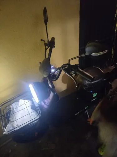 Bicicreta. Eletrica