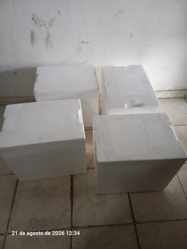 Vendo 4 caixas de polietileno expandindo,isopor de 30 litros as 4 por 120 reais no pix.