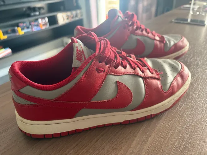 Tênis Nike Dunk Low 42