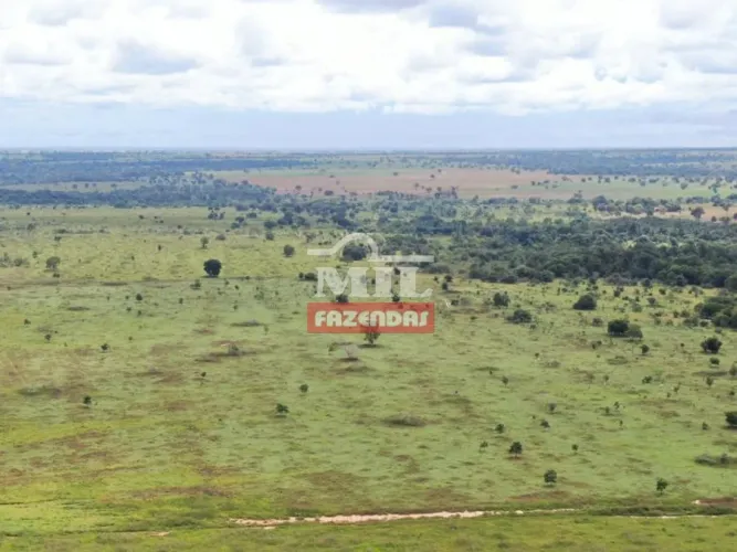 Fazenda de 42 alqueires (204 hectares) em Nova Crixas - GO,