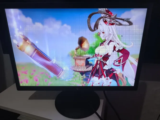 Monitor 19,5P Widscreen X3Green