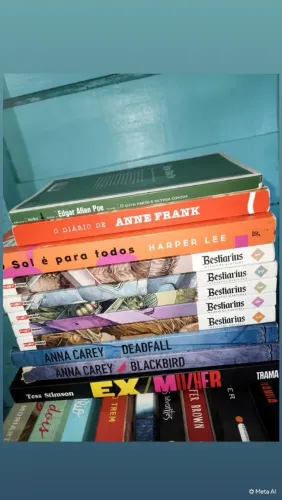 Livros venda ou troca 