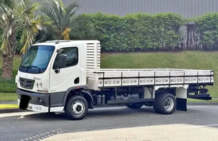 2020 Mercedes-Benz 815