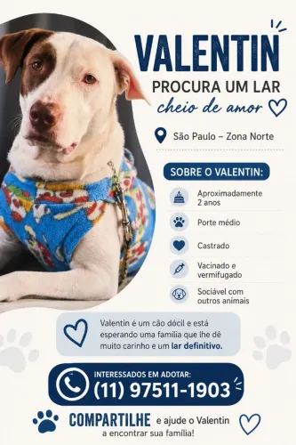 Adoção Responsável.