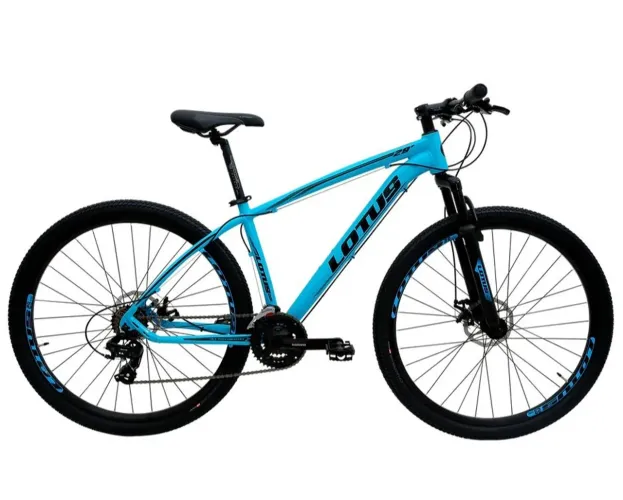 Bicicleta lotes aro 29