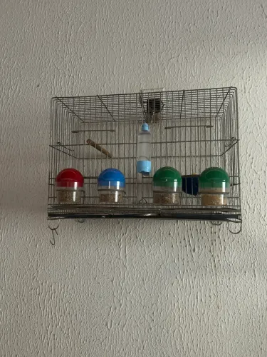 Gaiola de reprodução