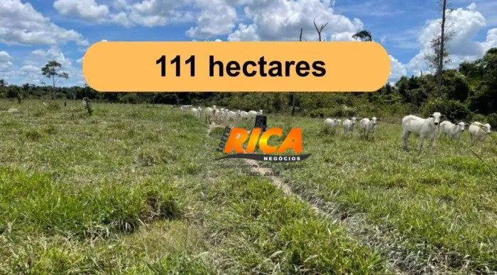 VENDE-SE BELÍSSIMA FAZENDA A APENAS 10 KM DA BR-364