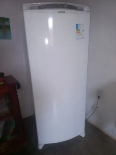 Freezer vertical
