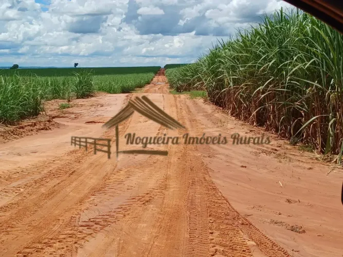 Fazenda com 280 alqueires, plantado cana