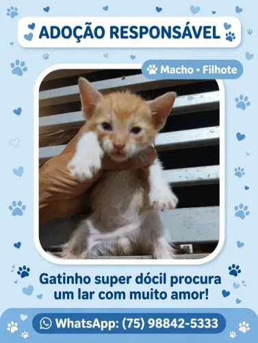 Para doação 
