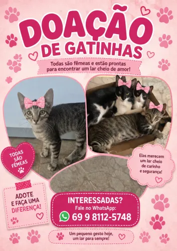 Doação Responsável