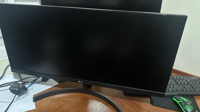 Monitor LG 29WL500-B usado