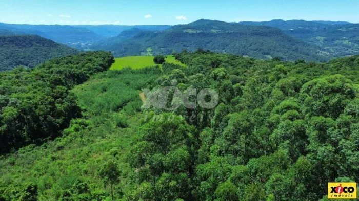 SÍTIO / CHÁCARA PARA VENDA EM PICADA CAFÉ / RS NO BAIRRO FLORESTA