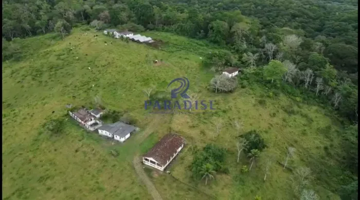 Fazenda, Centro, Ilhéus - R$ 6.65 mi, Cod: 69022