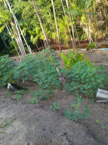 Vende-se