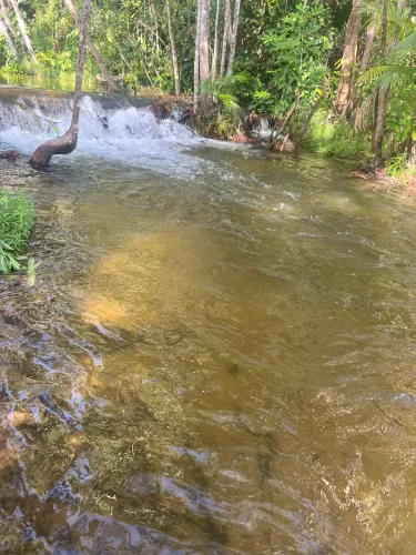 Alugo terreno em morros na beira do rio