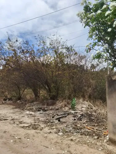 Vendo excelente terreno medindo 15x30 a 100 metros do Rio praia de Barra de santo Antônio