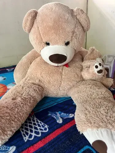 Urso Gigante