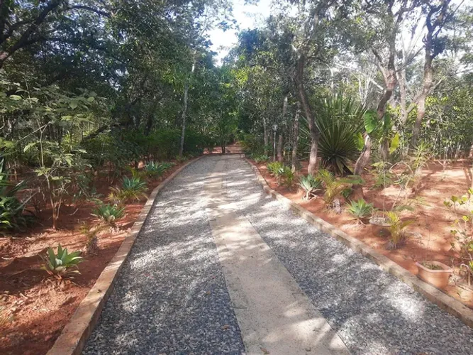 Sítio 21.000m2 todo arborizado e com uma excelente casa