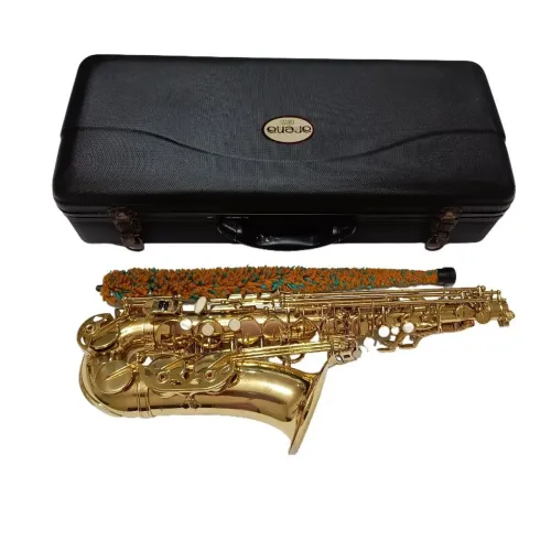 Saxofone Alto Arena laqueado Completo Boquilha Estojo Micro Amassadinho na campana