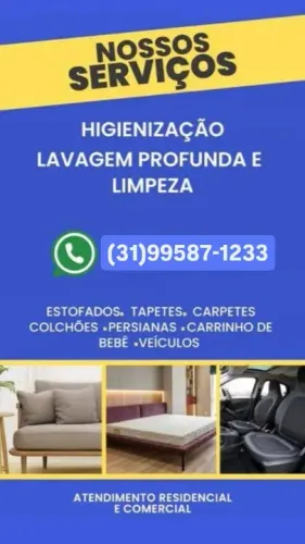 Higienização e lavagem profunda