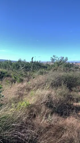 Vendo 4(quatro) lotes no Bairro Primavera em Vitória da Conquista