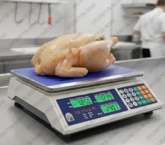 Balança Digital Eletrônica 10kg 15kg 20kg 25kg 30kg 40kg Marca: K-Fine