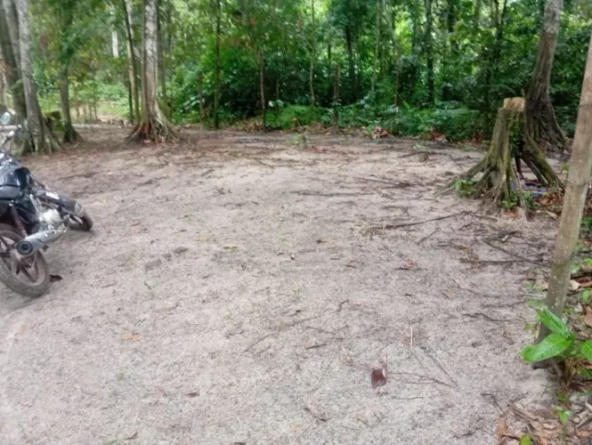 VENDO TERRENO COM IGARAPÉ KM28