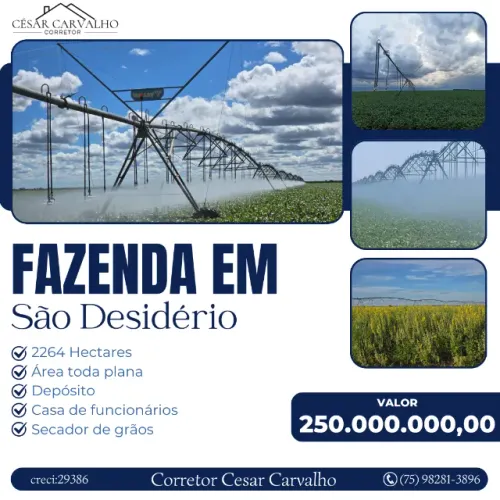 FAZENDA EM SÃO DESIDÉRIO - 2.264 HECTARES