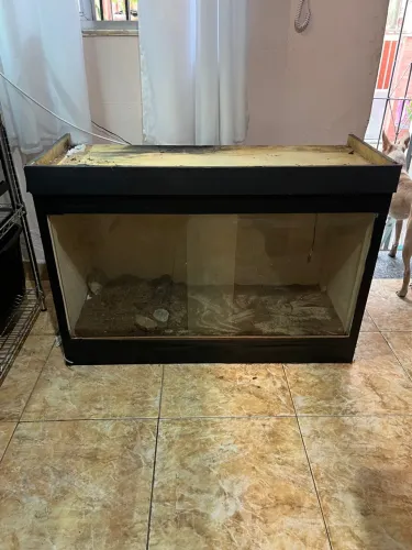 Terrário Grande para Animais