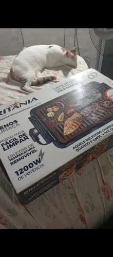 Não uso ela