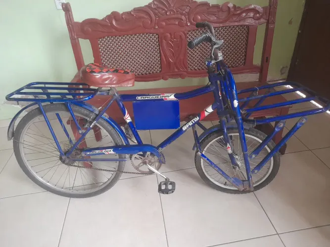Bicicleta cargueira