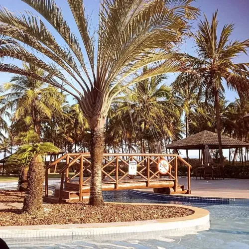 Lote Maikai | Barra dos Coqueiros | SE [8721]